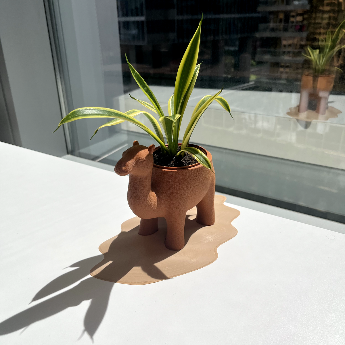 Camelpot - thumbnail 4